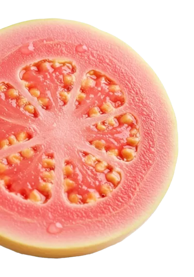 Imagen PNG para descargar